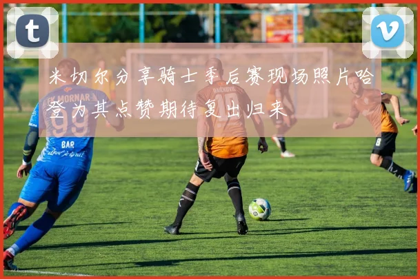 米切尔分享骑士季后赛现场照片哈登为其点赞期待复出归来