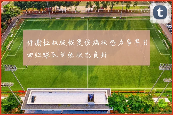特谢拉积极恢复伤病状态力争早日回归球队训练状态良好